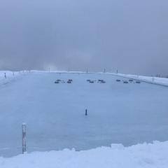 Curling einer Firma 4